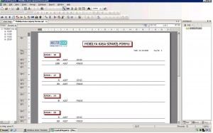 cyrstal_siparis_report_siparis_formu_1