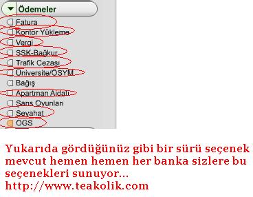 garfat5.JPG
