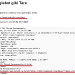 google-bot-gibi-tara-icerik google-bot-gibi-tara-icerik