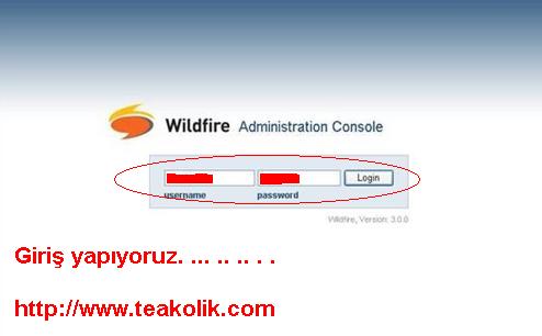 wildfire9-3.jpg