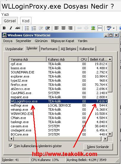 wlloginproxy.exe