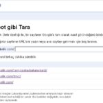 google-bot-gibi-tara