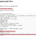 google-bot-gibi-tara-icerik