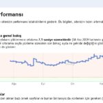 Google-web-yoneticisi-araclari-site-performans-1