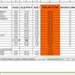 kurtarilmis-excel-dosyasi