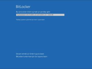 Bitlocker Zafiyeti Ardından Türkçe Karakter ve 5 Farklı Sorunun Çözümü!